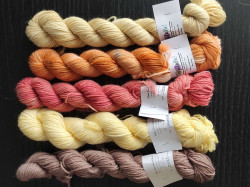 Mini Eco Sock&Roll - Mix 8