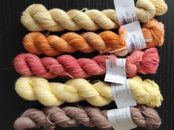 Mini Eco Sock&Roll - Mix 10